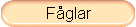 Fglar